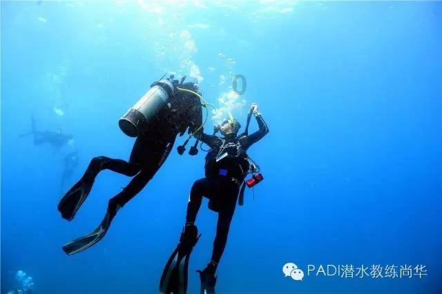 诡秘游戏